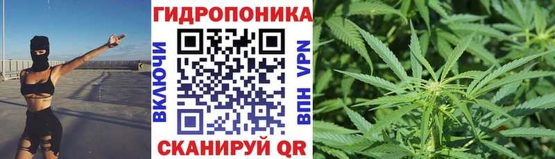 Наркотические вещества Павловск КОКАИН  Канабис  kraken ТОР  АМФ  Мефедрон  Гашиш  APVP  Галлюциногенные грибы 