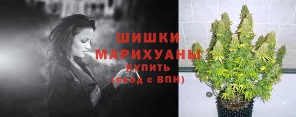 ГАЛЛЮЦИНОГЕННЫЕ ГРИБЫ Арсеньев