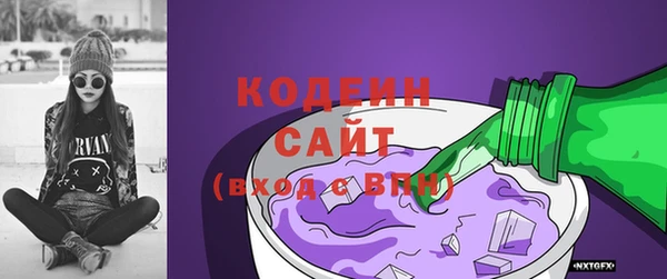 ГАЛЛЮЦИНОГЕННЫЕ ГРИБЫ Арсеньев