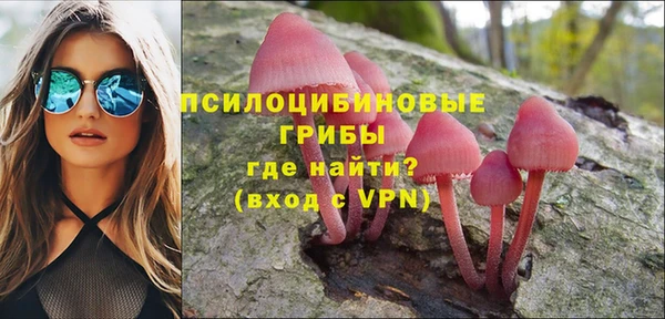 ГАЛЛЮЦИНОГЕННЫЕ ГРИБЫ Арсеньев