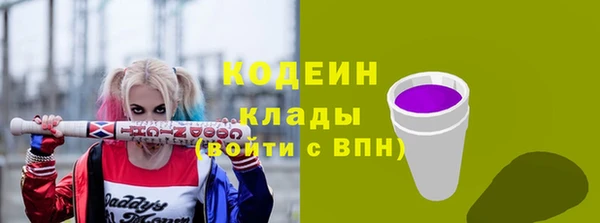 ГАЛЛЮЦИНОГЕННЫЕ ГРИБЫ Арсеньев