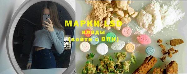 ГАЛЛЮЦИНОГЕННЫЕ ГРИБЫ Арсеньев