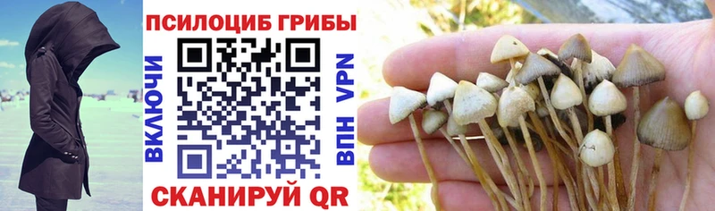 Галлюциногенные грибы MAGIC MUSHROOMS  сайты даркнета формула  Павловск  где купить наркоту  mega как зайти 
